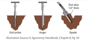Soil Samples